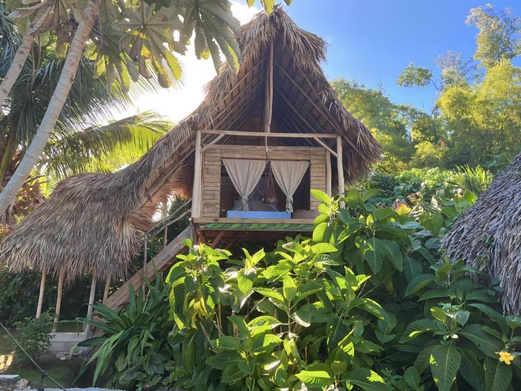 Samana Ecolodge El Limon Eksteriør billede