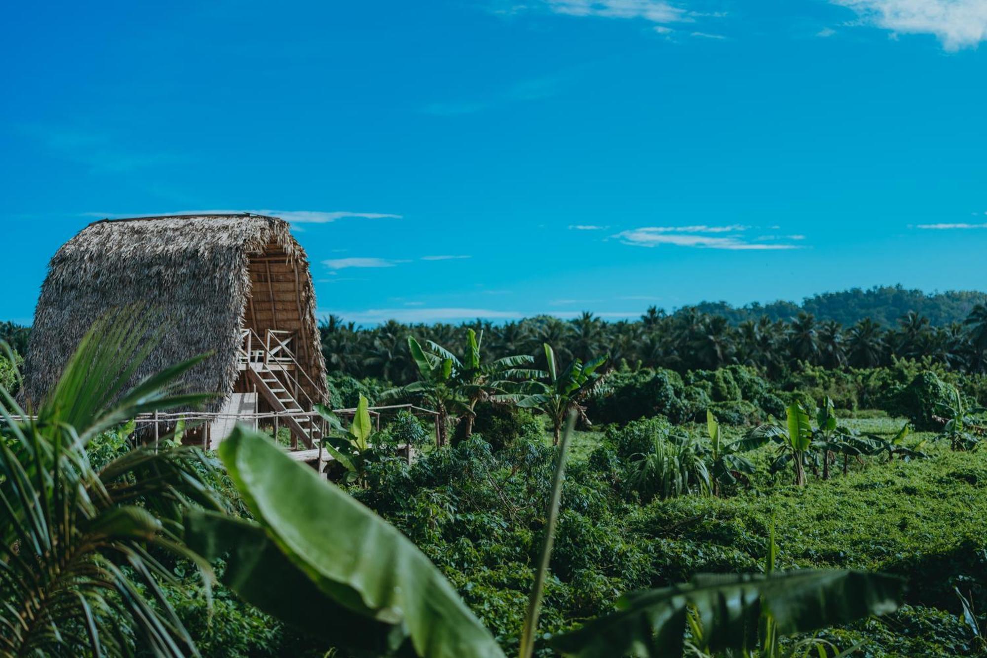 Samana Ecolodge El Limon Eksteriør billede