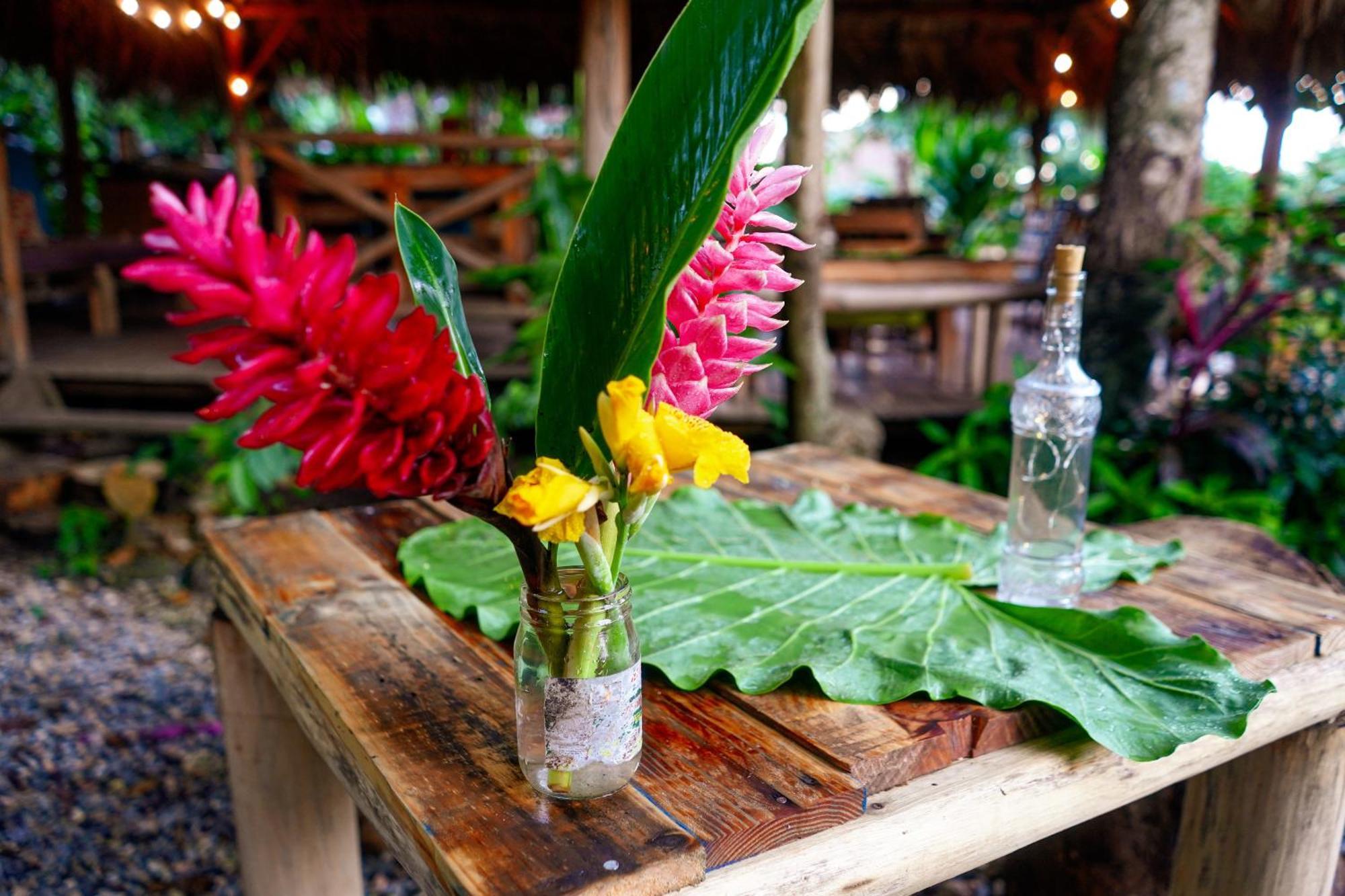 Samana Ecolodge El Limon Eksteriør billede